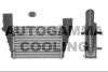 AUTOGAMMA 101858 Intercooler, charger